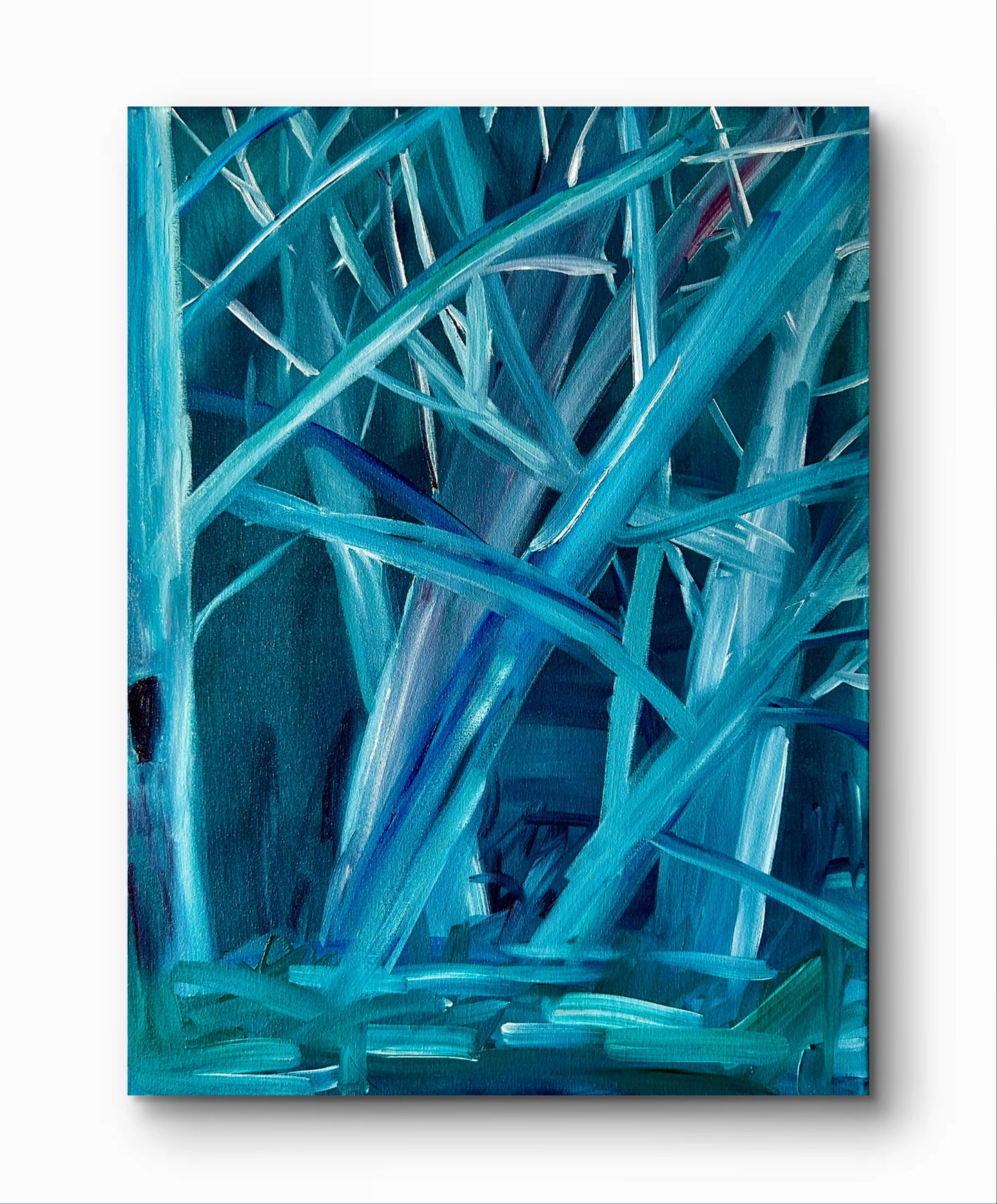 Where the path fades